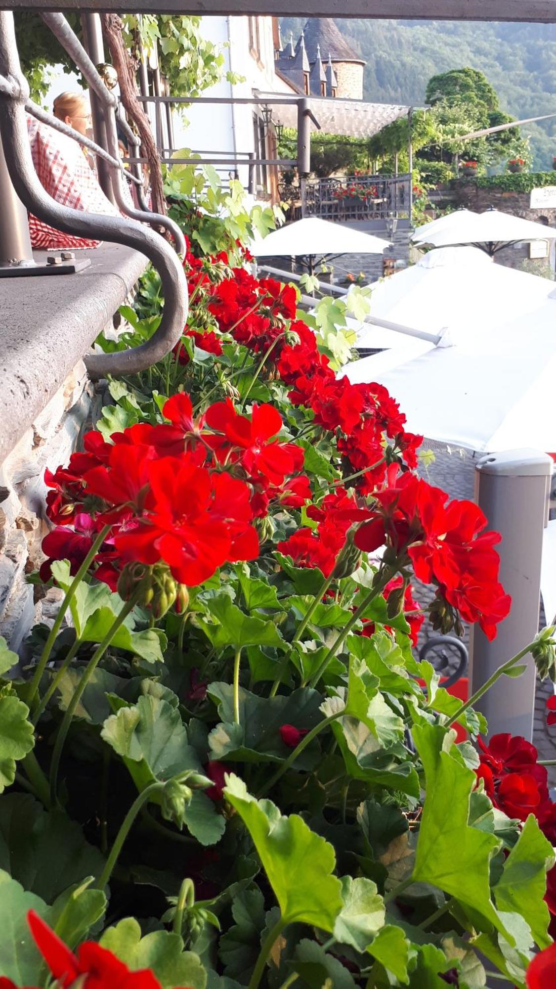 Hotel Restaurant Alte Stadtmauer Beilstein  Exterior photo